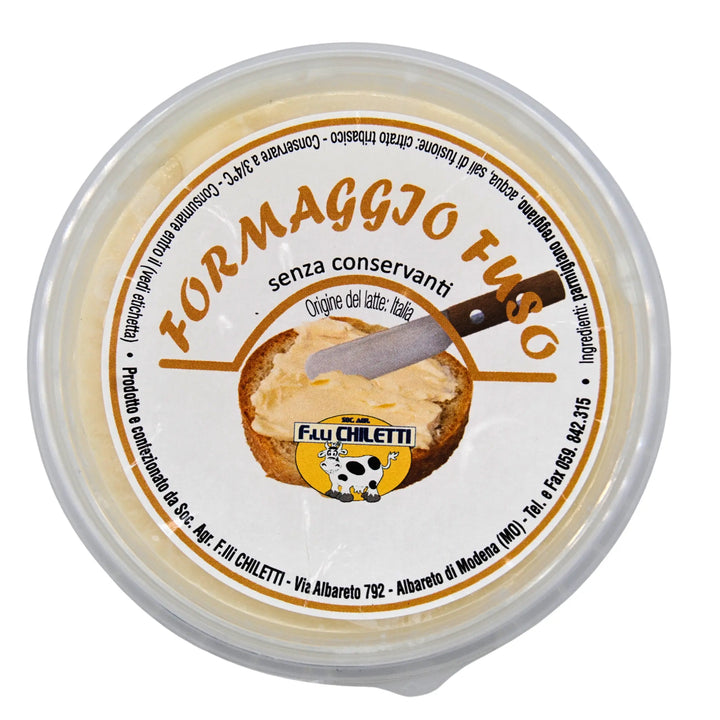 Crema di Parmigiano - Formaggio Fuso Modena Food Boutique