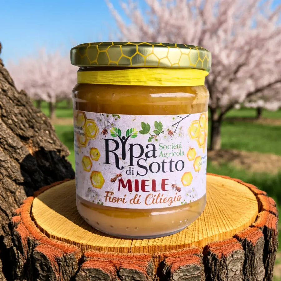Miele di Ciliegio Ripa di Sotto